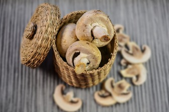 Заморожування шампіньйонів: як зберігати гриби, щоб вони не втратили смак